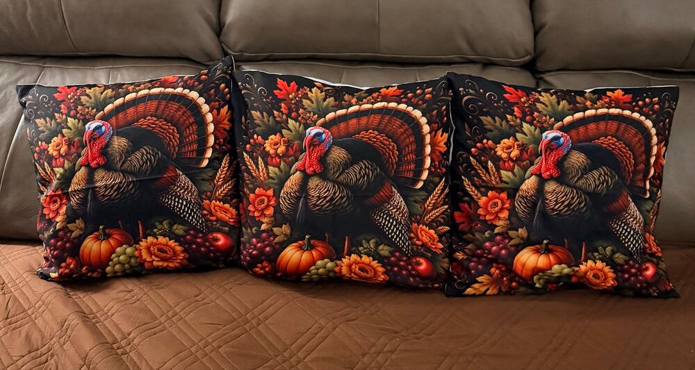 Two new decorative pillow featuring a charming autumn turkey design.
